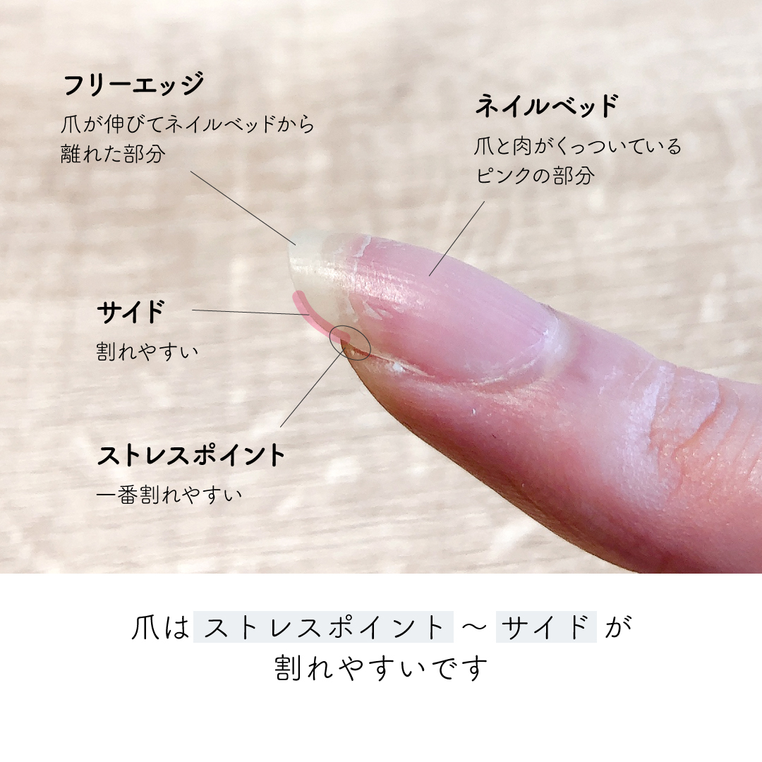 自宅でできる 爪が割れたときや割らないための対処法 Nail Station ネイルステーション ケア重視のネイルサロン